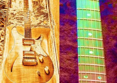 Rock Guitars 6 PRS art2 dagrosa