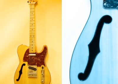 Rock Guitars 14 american telecastor dagrosa