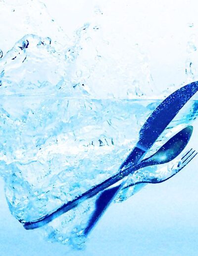 silverware splash dagrosa