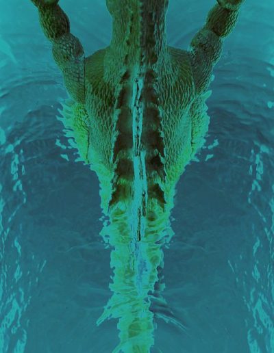 Godzilla calm splash dagrosa