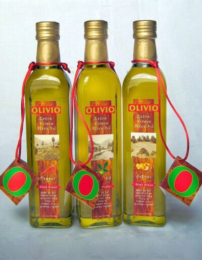 Still Simple Still Life 5 olivio bottles dagrosa