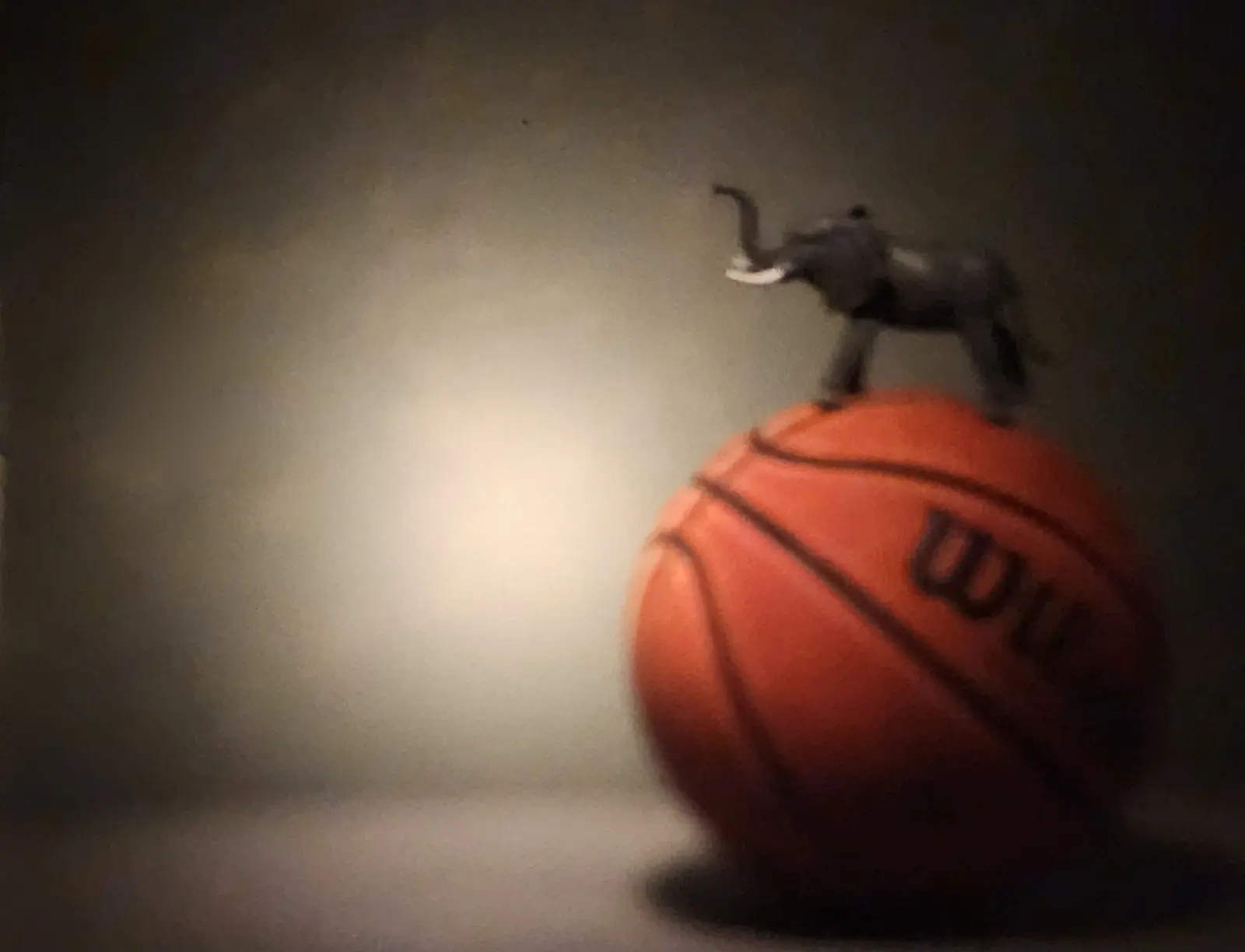 Mumba — The Lesson of the Court Small elephant figurine balanced on top of a basketball, photographed in focused studio lighting against a dark background.