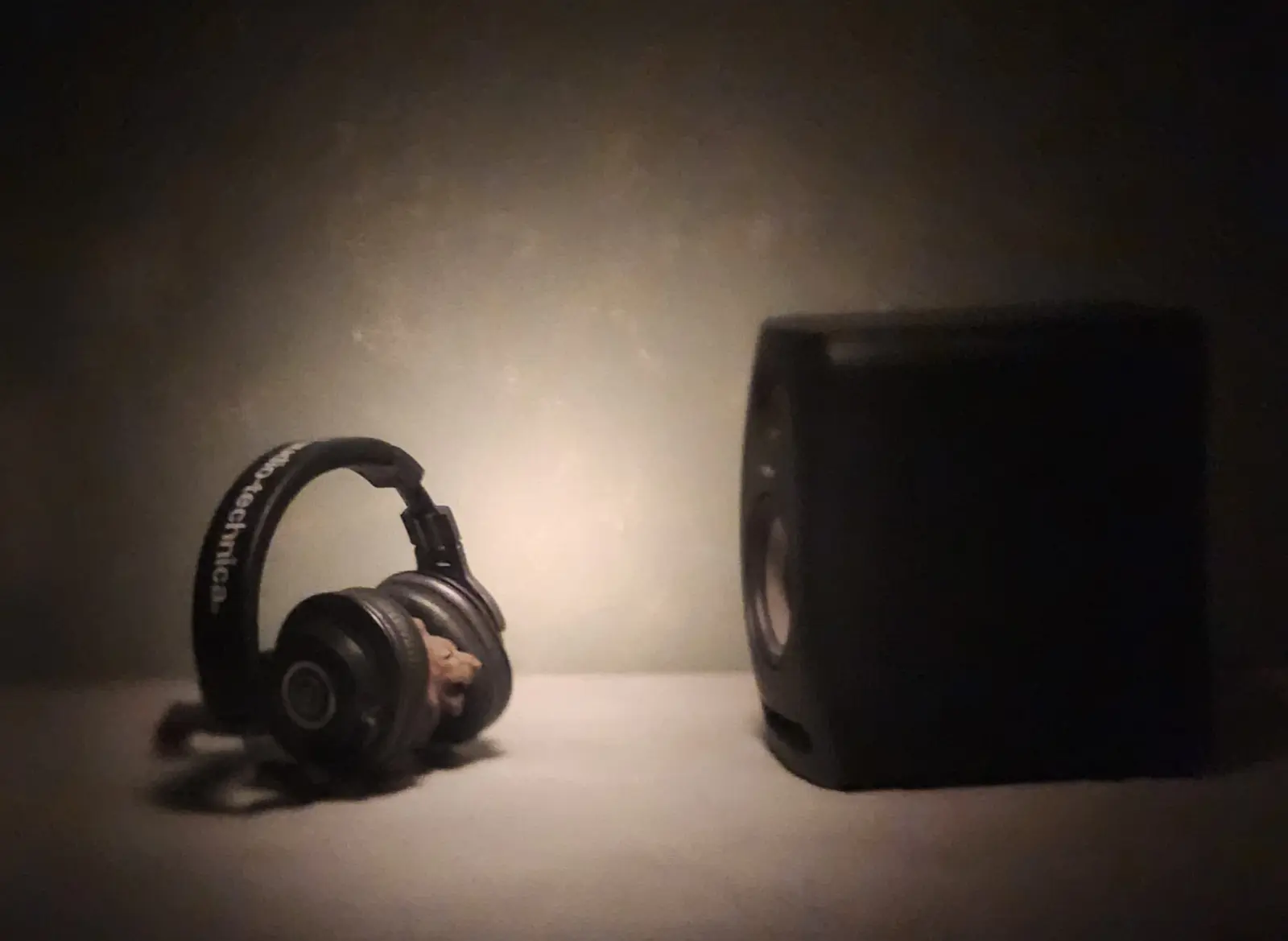 The Lion Who Listens Small lion figurine wearing over‑ear headphones, photographed in focused studio lighting against a dark background.